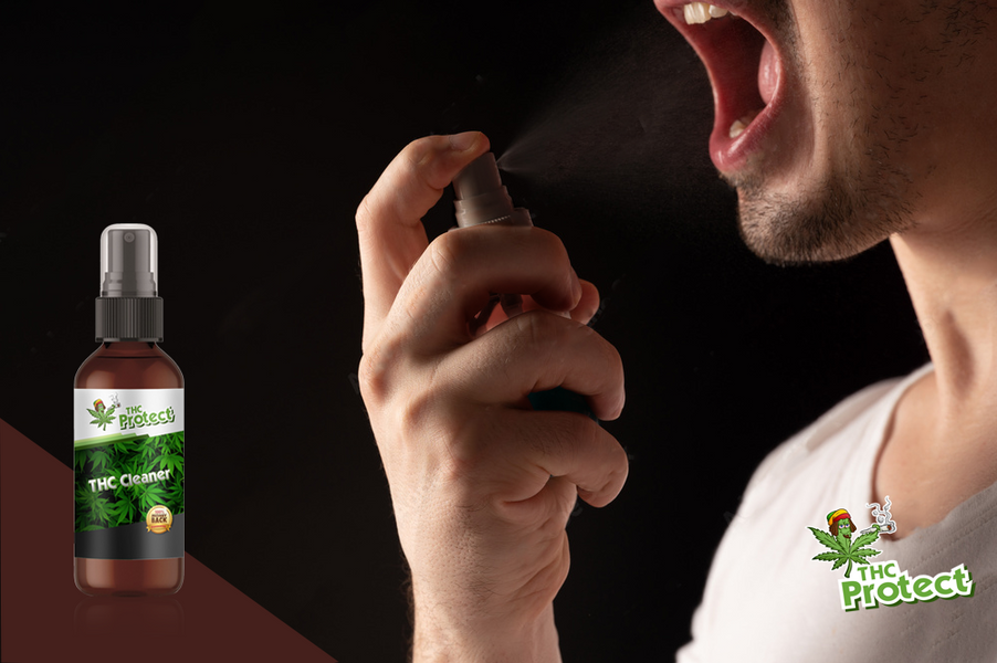 Le fonctionnement du Kleaner : Comprendre l'efficacité du Spray anti-THC