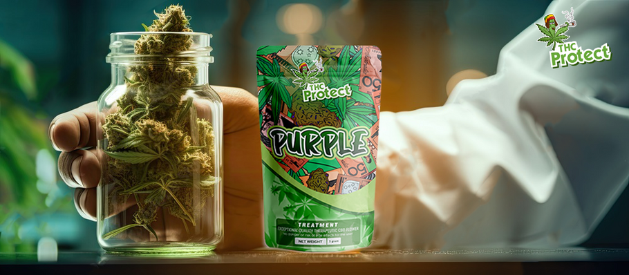 Comment utiliser les fleurs de CBD Purple ?