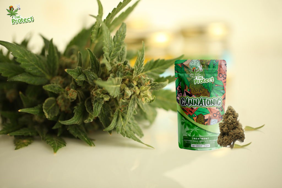 Les avantages des fleurs CBD Cannatonic pour la santé et le bien-être